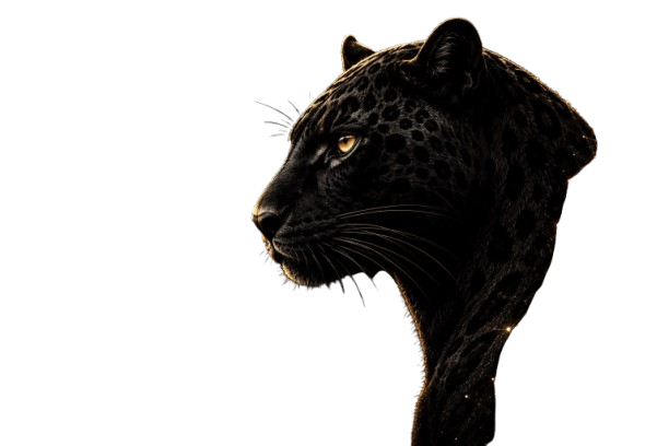 Valovie leopard